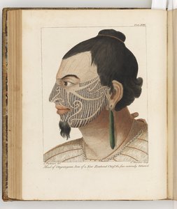 Chef för Otegoongoon, illustration från A journal of a voyage to the South Seas: in His Majestys ship, the Endeavour, 1794 (handfärgad gravyr)
